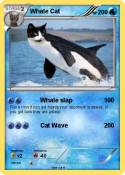Whale Cat