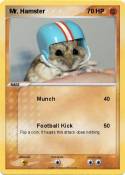Mr. Hamster