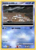 muddy puddle