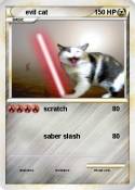 evil cat