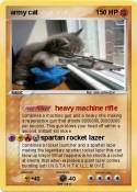army cat