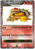 Bowser and