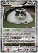 FAT CAT