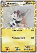 MLuke duke