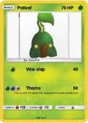 Potleef