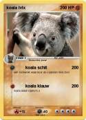 koala lvlx