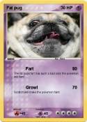 Fat pug
