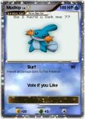 Mudkip