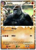 Gorilla