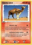 Camely camel