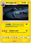 Moonlight cat