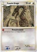 Fossile Drago