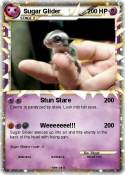 Sugar Glider