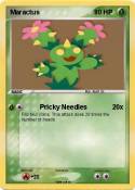 Maractus