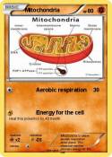 Mitochondria