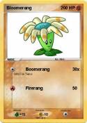 Bloomerang