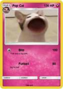 Pop Cat