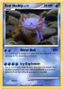 Real Mudkip