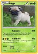 Pugga