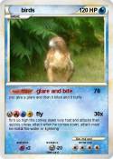 birds