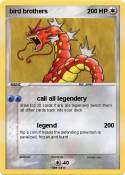 bird brothers