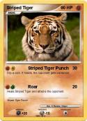Striped Tiger