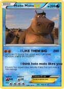 Hoto Moto