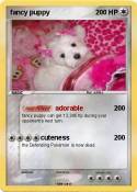fancy puppy