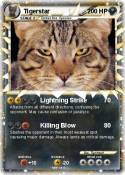 Tigerstar