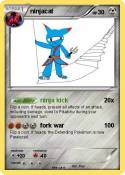 ninjacat