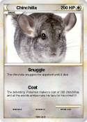Chinchilla