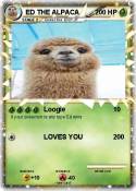 ED THE ALPACA
