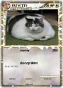 FAT KITTY