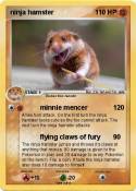 ninja hamster