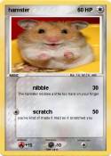 hamster