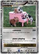 teacup pigs