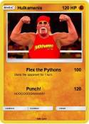 Hulkamania