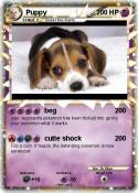 Puppy