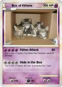 Box of Kittens