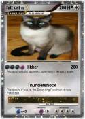 fatt cat
