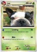 Leo