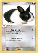 rabbit rabbit
