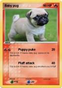 Baby pug