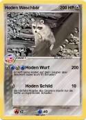 Hoden Waschbär