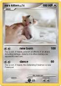 mrs kitten