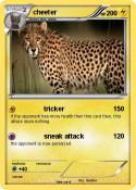 cheeter