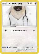 Lab recruit pug