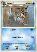 Saber Z