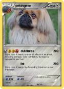 pekingese