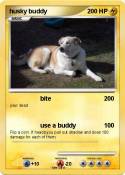 husky buddy